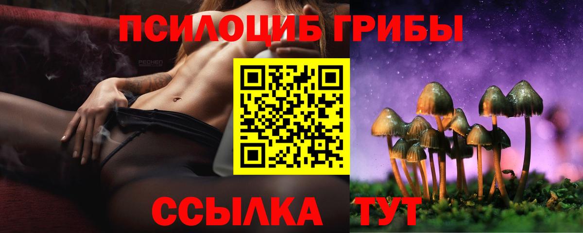 Галлюциногенные грибы GOLDEN TEACHER Майский