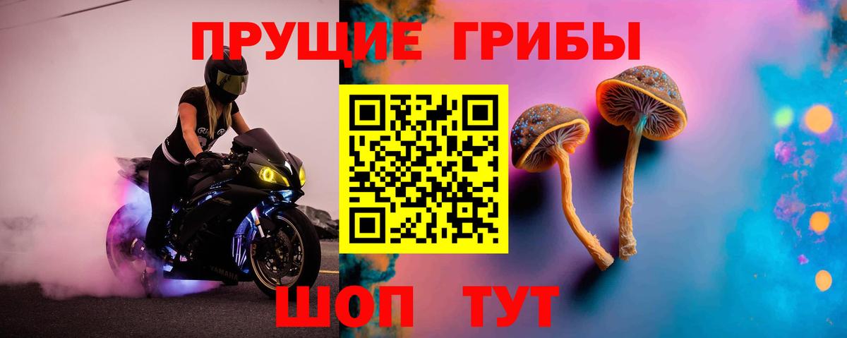 Майский  купить  сайты  Вход с VPN  Псилоцибиновые грибы GOLDEN TEACHER 